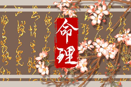 李老师,为什么30岁的人喜欢认怂