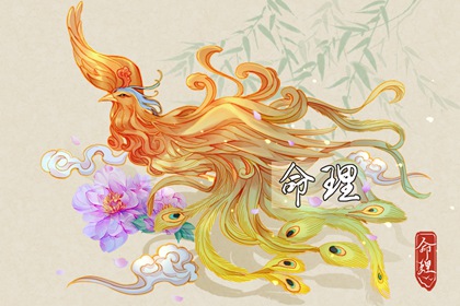 李老师，为什么人人要学国学啊