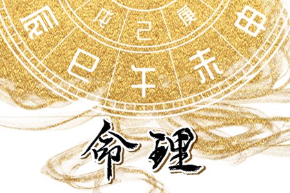 李老师,为什么不是所有的人都适合养猫